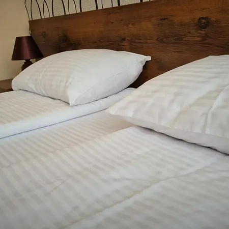 Four Seasons 公寓 兹拉蒂博尔