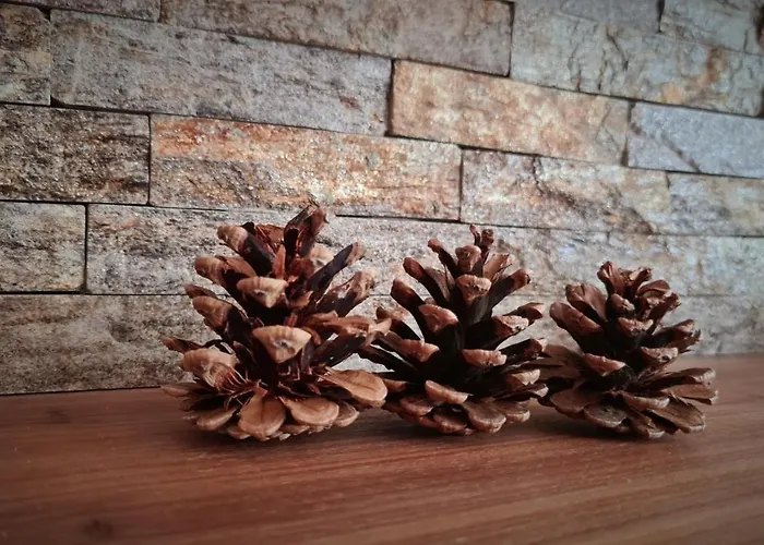 Four Seasons Διαμέρισμα