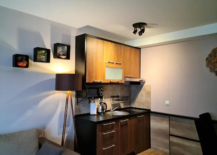 Four Seasons Διαμέρισμα Ζλάτιμπορ